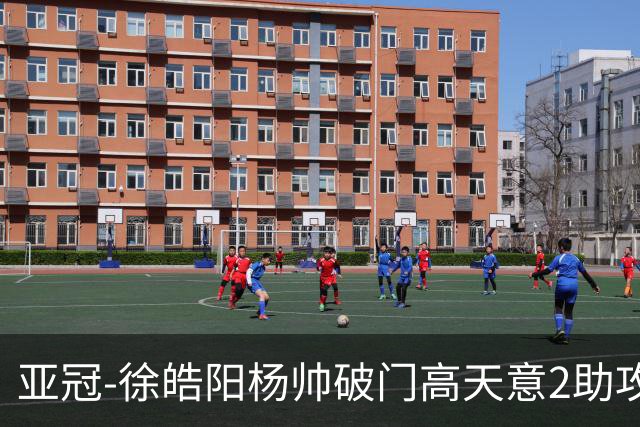 亚冠-徐皓阳杨帅破门高天意2助攻 申花2-1淡滨尼流浪者